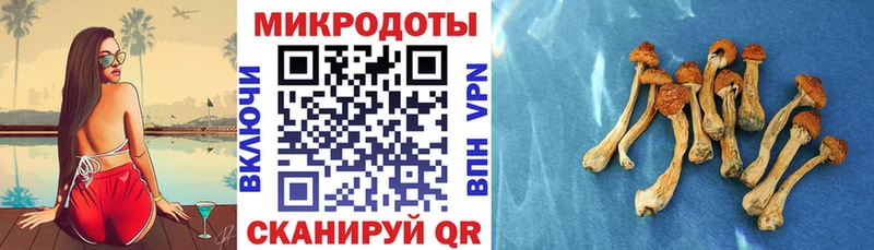 площадка состав  Тырныауз  Псилоцибиновые грибы ЛСД  где найти  